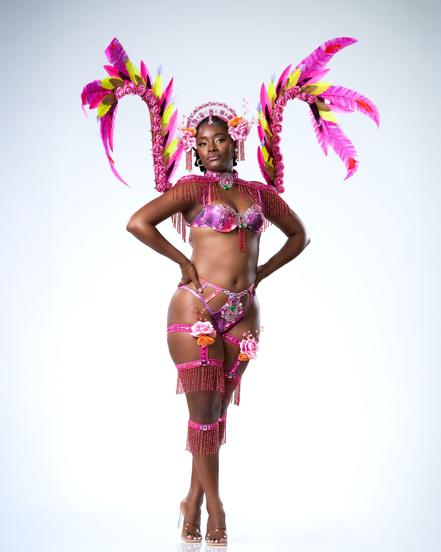 DESERT ROSE BACKLINE