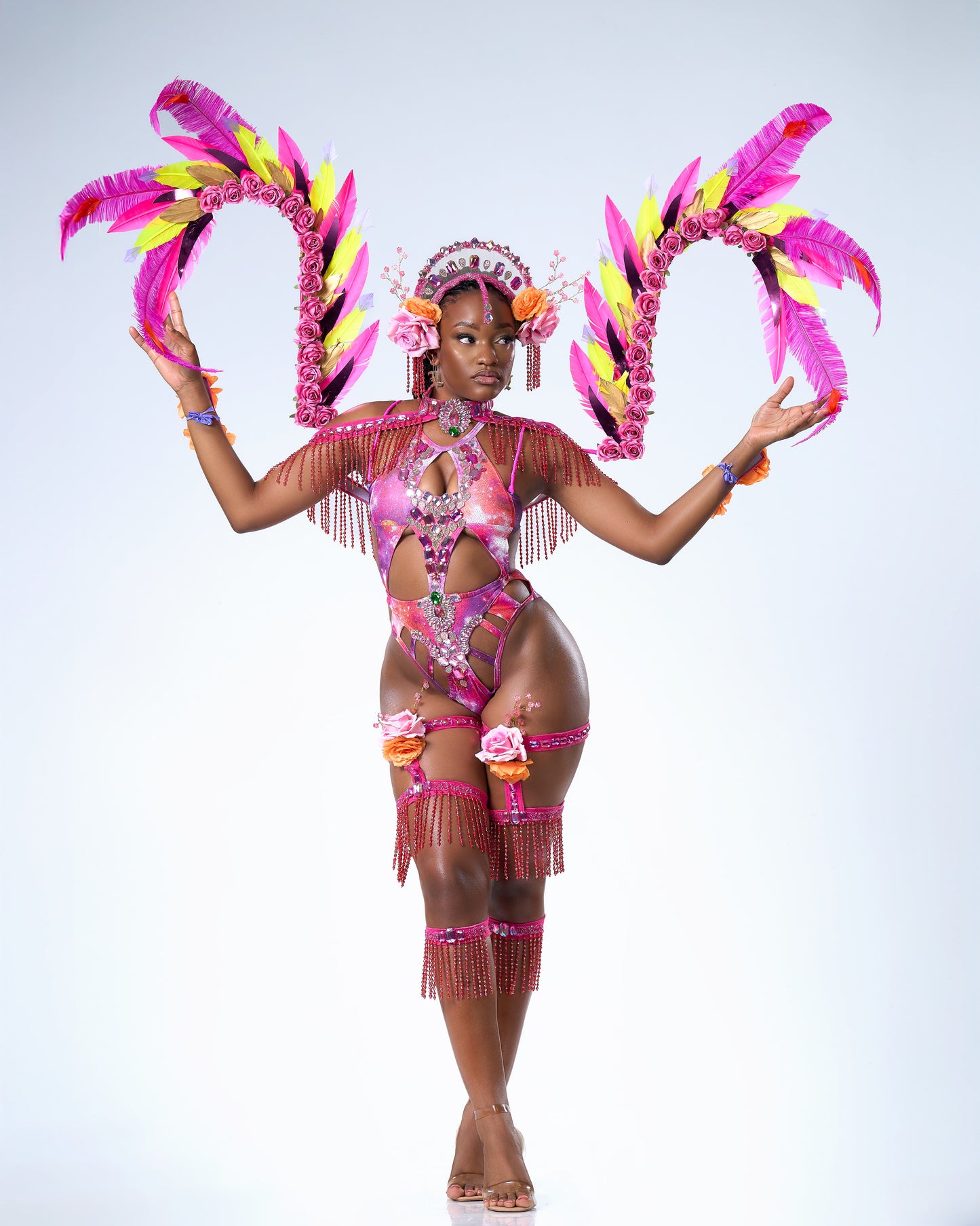 DESERT ROSE BACKLINE