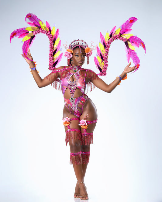 DESERT ROSE BACKLINE