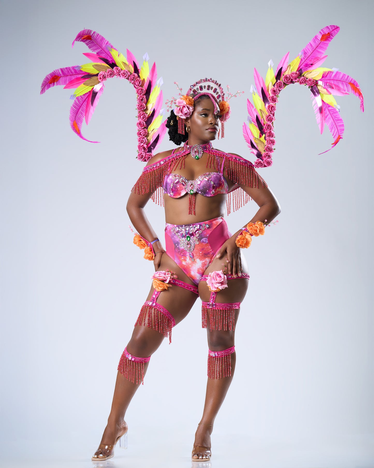 DESERT ROSE BACKLINE