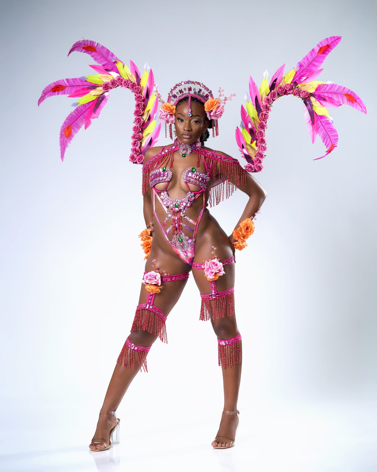 DESERT ROSE BACKLINE