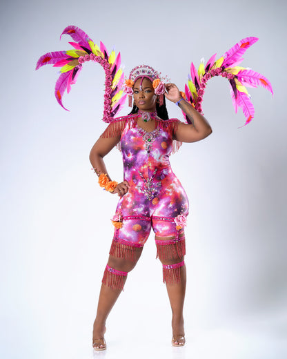 DESERT ROSE BACKLINE